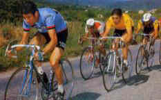 Merckx Gimondi.jpg (9572 byte)